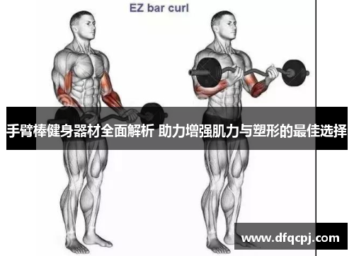 手臂棒健身器材全面解析 助力增强肌力与塑形的最佳选择