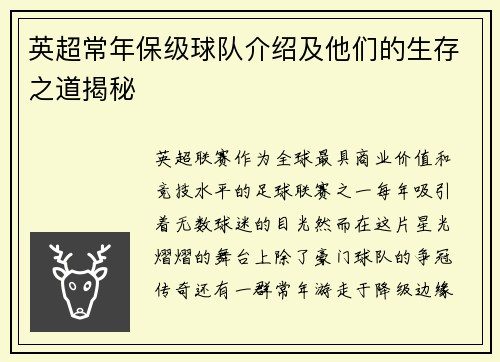 英超常年保级球队介绍及他们的生存之道揭秘