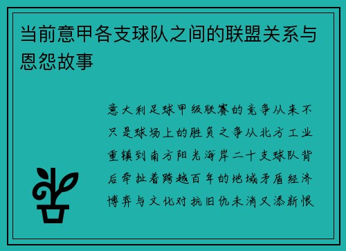 当前意甲各支球队之间的联盟关系与恩怨故事